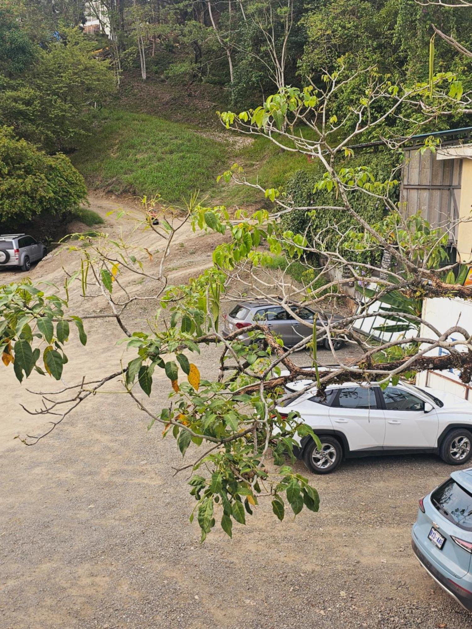 Pura Vida Apartments Quepos Oda fotoğraf